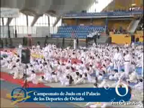 Ayuntamiento de Oviedo | June 2, 2010 | X Festival Infantil de Judo con las banderas de los países comunitarios