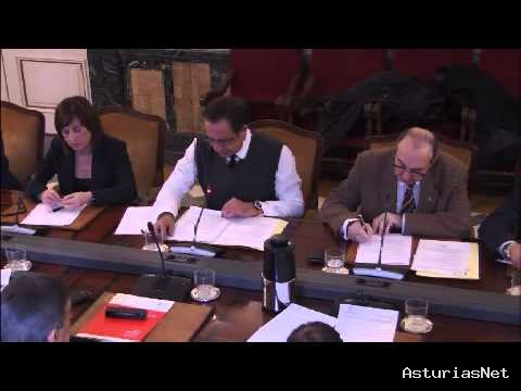 Ayuntamiento de Oviedo | February 27, 2013 | Pleno Municipal Febrero 2013