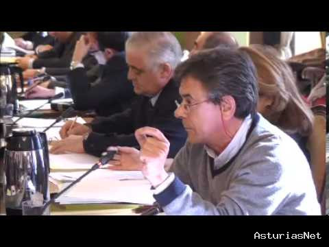 Ayuntamiento de Oviedo | November 29, 2013 | Pleno Municipal Noviembre 2013 1/2