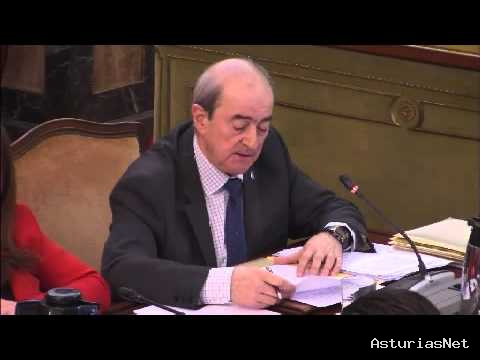 Ayuntamiento de Oviedo | December 27, 2013 | Pleno Municipal Diciembre 2013 1/2