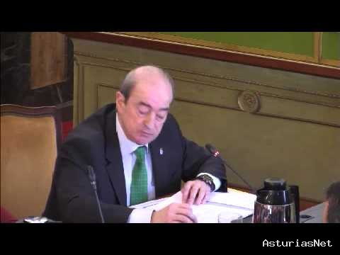 Ayuntamiento de Oviedo | February 26, 2014 | Pleno Extraordinario Febrero 2014