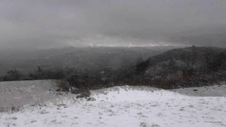 Ayuntamiento de Oviedo | February 10, 2014 | Nevando en el Naranco