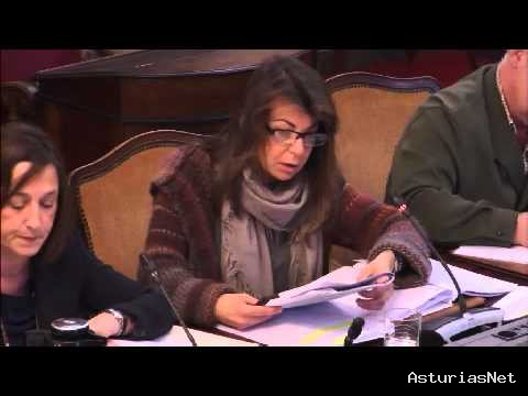 Ayuntamiento de Oviedo | April 9, 2014 | Comisión de investigación de Los Palacios 9-4-2014. Agustín Iglesias Caunedo