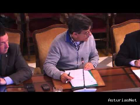 Ayuntamiento de Oviedo | April 22, 2014 | Comisión de investigación Los Palacios. 22 de abril 2014