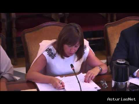 Ayuntamiento de Oviedo | July 30, 2014 | Pleno Municipal Julio 2014