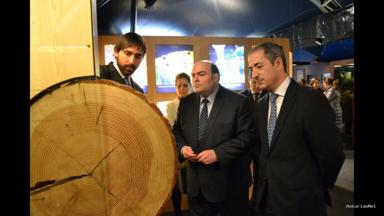 Ayuntamiento de Oviedo | February 18, 2015 | Exposición «El Bosque. Mucho más que madera» 18-02-2015