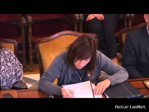 Ayuntamiento de Oviedo | April 9, 2015 | Pleno 9 de abril de 2015