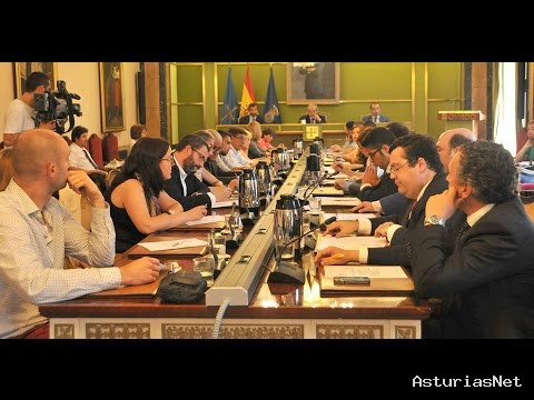 Ayuntamiento de Oviedo | July 14, 2015 | Pleno organizativo Julio 2015