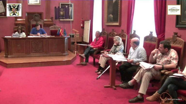 Ayuntamiento de Villaviciosa | September 4, 2015 | Constituciã“N Consejo DE Participaciã“N Ciudadana DE Villaviciosa