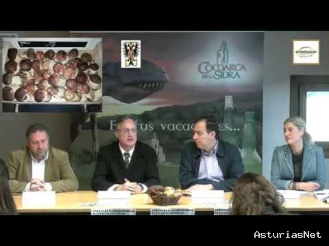 Ayuntamiento de Villaviciosa | October 22, 2015 | I Jornadas Gastronómicas DE LAS Setas Silvestras DE Otoña DE LA Comarca Turística DE LA Sidra