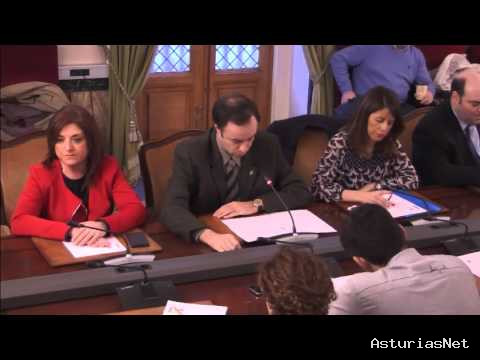 Ayuntamiento de Oviedo | January 28, 2016 | Pleno extraordinario 28-01-2016