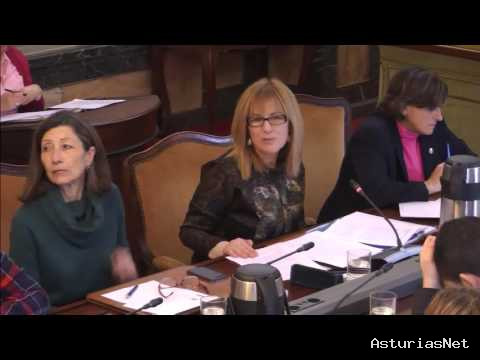 Ayuntamiento de Oviedo | March 8, 2016 | Pleno Municipal 7 de marzo 2016. Parte 1