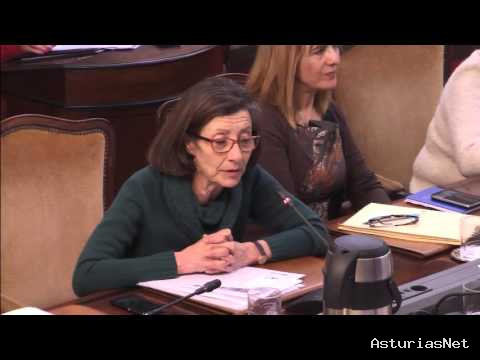 Ayuntamiento de Oviedo | April 5, 2016 | Pleno Municipal 5 de abril 2016. Parte II