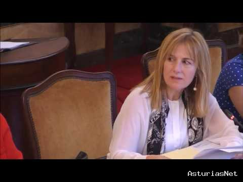 Ayuntamiento de Oviedo | June 7, 2016 | Pleno Municipal 7 de junio 2016. Parte II