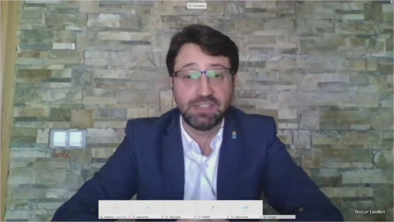 Junta General Principado de Asturias (JGPA) | April 24, 2020 | Videoconferencia informativa con la Consejería de Industria, Empleo y Promoción Económica.