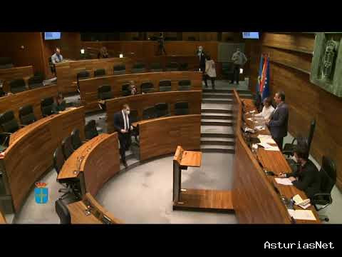 Junta General Principado de Asturias (JGPA) | May 22, 2020 | Comisión Especial de Estudio de la gestión de la crisis sanitaria Covid-19