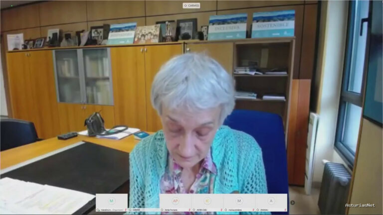 Junta General Principado de Asturias (JGPA) | May 4, 2020 | Videoconferencia informativa con la Consejería de Educación