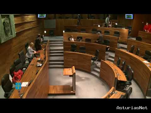 Junta General Principado de Asturias (JGPA) | May 15, 2020 | Comisión de Educación.
