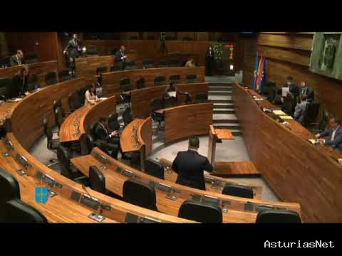 Junta General Principado de Asturias (JGPA) | May 20, 2020 | Pleno. Sesión ordinaria.