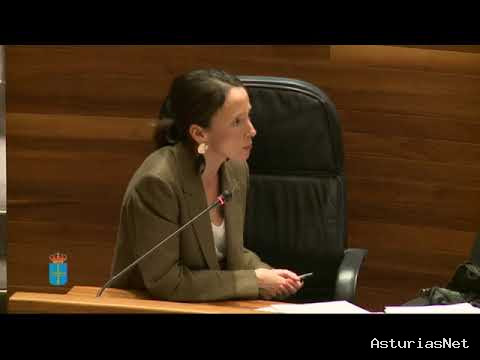 Junta General Principado de Asturias (JGPA) | May 25, 2020 | Comisión de Derechos Sociales y Bienestar