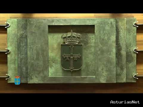 Junta General Principado de Asturias (JGPA) | May 29, 2020 | Comisión de Ciencia, Innovación y Universidad