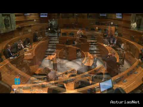 Junta General Principado de Asturias (JGPA) | May 28, 2020 | Comisión de Cultura, Política Llingüística y Turismo