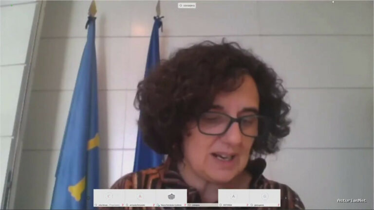 Junta General Principado de Asturias (JGPA) | May 7, 2020 | Videoconferencia informativa con la Consejería de Cultura, Política Lingüística y Turismo