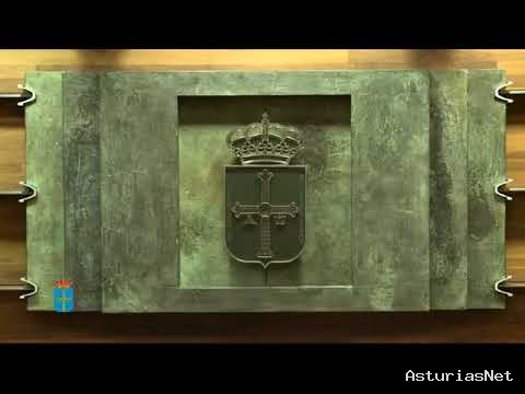 Junta General Principado de Asturias (JGPA) | May 26, 2020 | Comisión de Desarrollo Rural, Agroganadería y Pesca