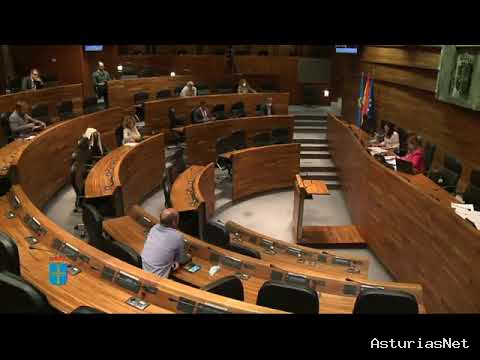 Junta General Principado de Asturias (JGPA) | 11 de junio de 2020 | Comisión de Industria, Empleo y Promoción Económica