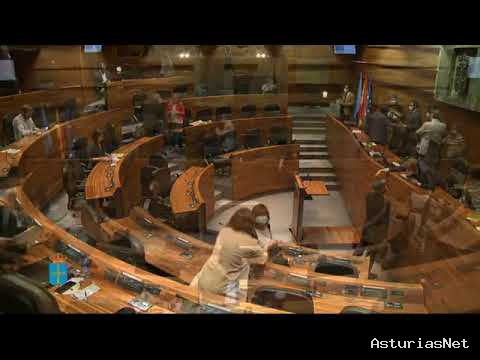 Junta General Principado de Asturias (JGPA) | 30 de junio de 2020 | Pleno. Sesión ordinaria.