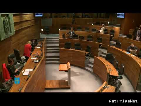 Junta General Principado de Asturias (JGPA) | 12 de junio de 2020 | Comisión de Educación