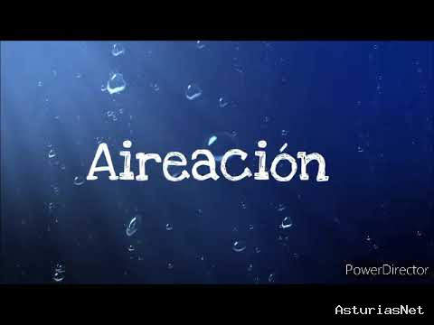Ayuntamiento de Oviedo | 22 de junio de 2020 | Los acuarios