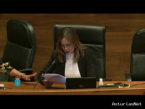 Junta General Principado de Asturias (JGPA) | 9 de junio de 2020 | Comisión de Presidencia