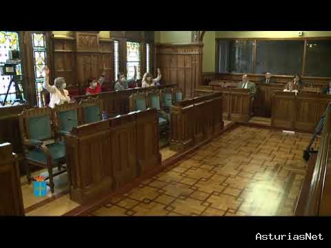 Junta General Principado de Asturias (JGPA) | 25 de junio de 2020 | Comisión de Cultura, Política Llingüística y Turismo