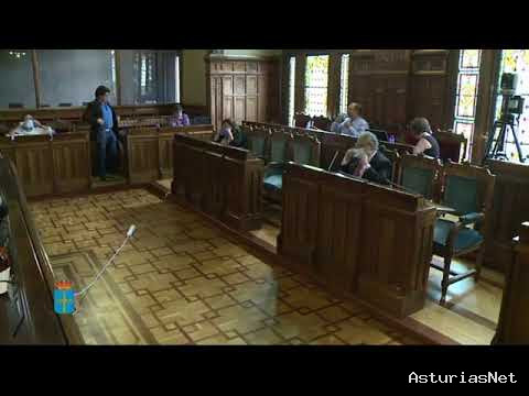 Junta General Principado de Asturias (JGPA) | 3 de julio de 2020 | Comisión de Estudio de la gestión de la crisis sanitaria Covid-19