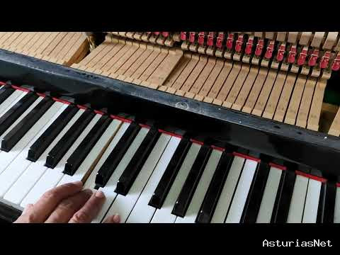 Ayuntamiento de Villaviciosa | 10 de agosto de 2020 | Piano por dentro