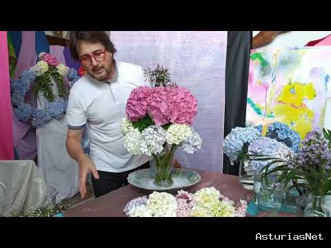 Ayuntamiento de Oviedo | 7 de septiembre de 2020 | Arreglos Florales Taller 8