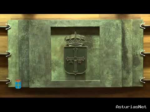 Junta General Principado de Asturias (JGPA) | 13 de octubre de 2020 | Pleno.