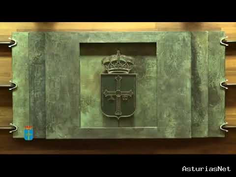 Junta General Principado de Asturias (JGPA) | 11 de noviembre de 2020 | Pleno.