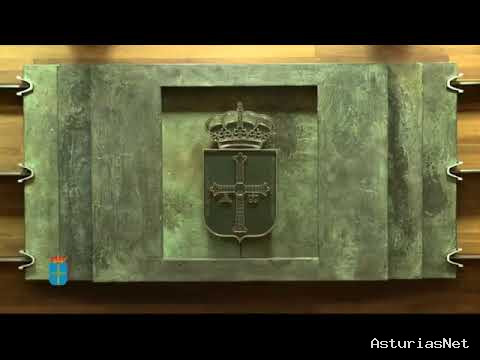 Junta General Principado de Asturias (JGPA) | 10 de noviembre de 2020 | Pleno.