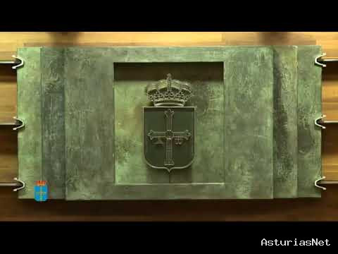 Junta General Principado de Asturias (JGPA) | 24 de noviembre de 2020 | Pleno.