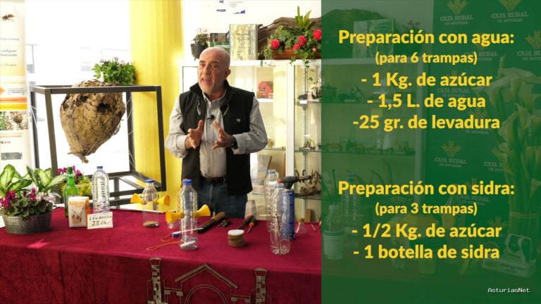 Prestosu | 14 de marzo de 2021 | Canal Prestosu | Agro: cómo hacer una trampa para la avispa velutina