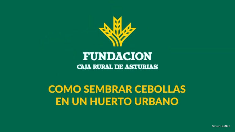 Prestosu | 6 de abril de 2021 | Canal Prestosu | Agro: cómo sembrar cebollas en un huerto urbano