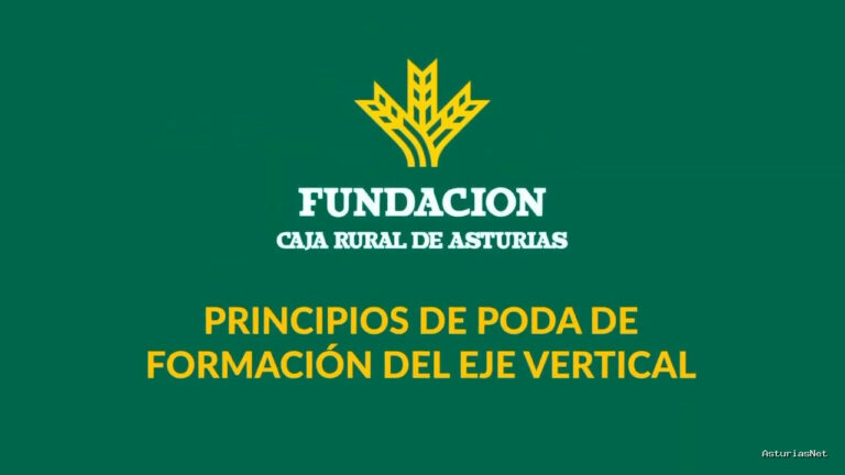 Prestosu | 6 de abril de 2021 | Canal Prestosu | Agro: clase de poda