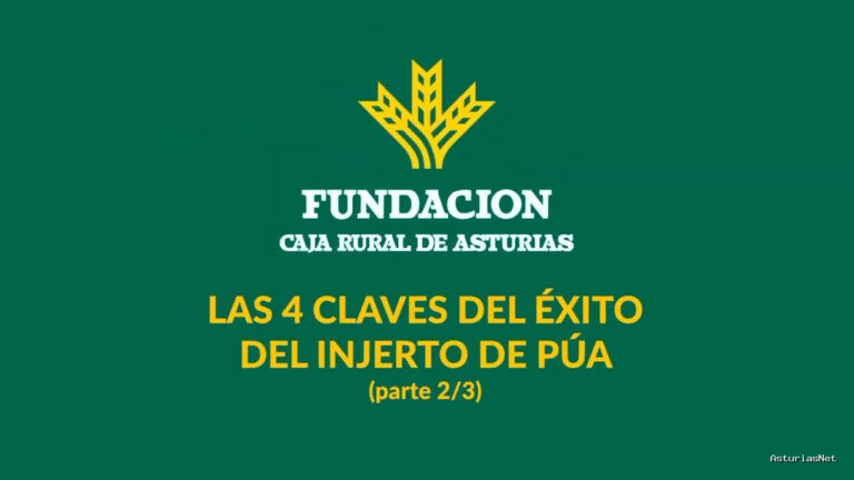Prestosu | 7 de mayo de 2021 | Canal Prestosu | Agro: 4 claves para el éxito del injerto de púa (parte II)