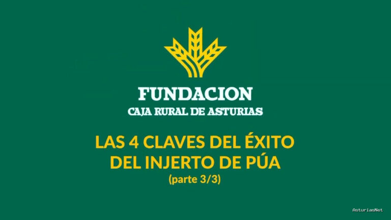 Prestosu | 12 de mayo de 2021 | Canal Prestosu | Agro: 4 claves para el éxito del injerto de púa (parte III)