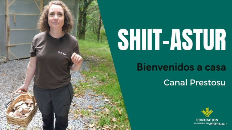 Prestosu | 5 de septiembre de 2021 | Canal Prestosu | Bienvenidos a casa: María, de Shiit-Astur, nos cuenta qué es el shiitake.