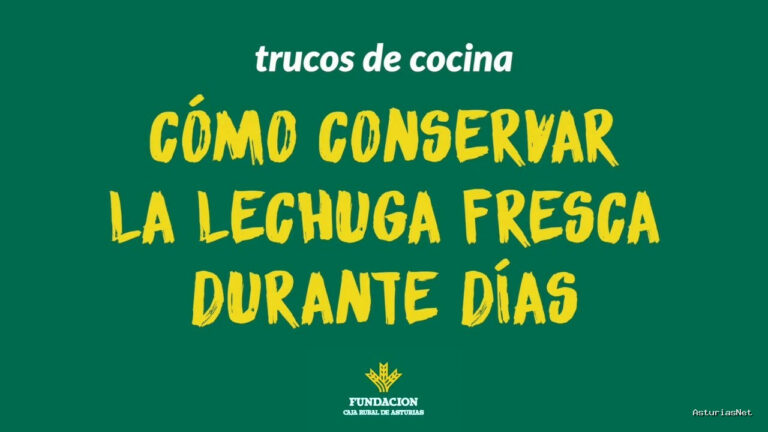 Prestosu | 5 de febrero de 2022 | Canal Prestosu | Cocina: cómo conservar la lechuga fresca durante días