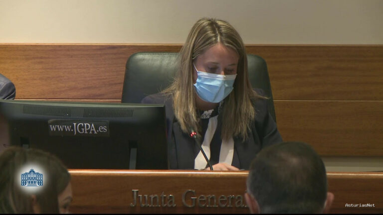 Junta General Principado de Asturias (JGPA) | 12 de abril de 2022 | Comisión de Derechos Sociales y Bienestar