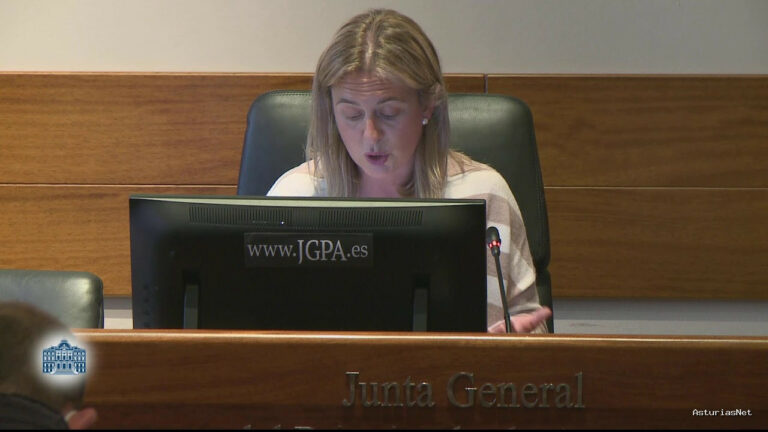 Junta General Principado de Asturias (JGPA) | 29 de abril de 2022 | Comisión de Educación